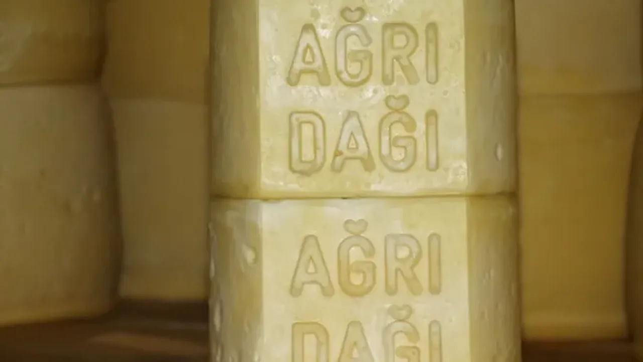 Bu tesiste günlük 20 ton süt kaşar peynirine dönüşüyor