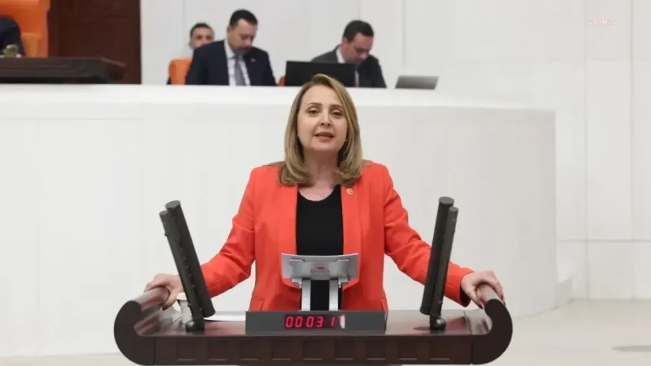 CHP'li Semra Dinçer: AKP, 2024'ün İlk 7 Ayında 618 Milyar TL Faiz Ödedi!