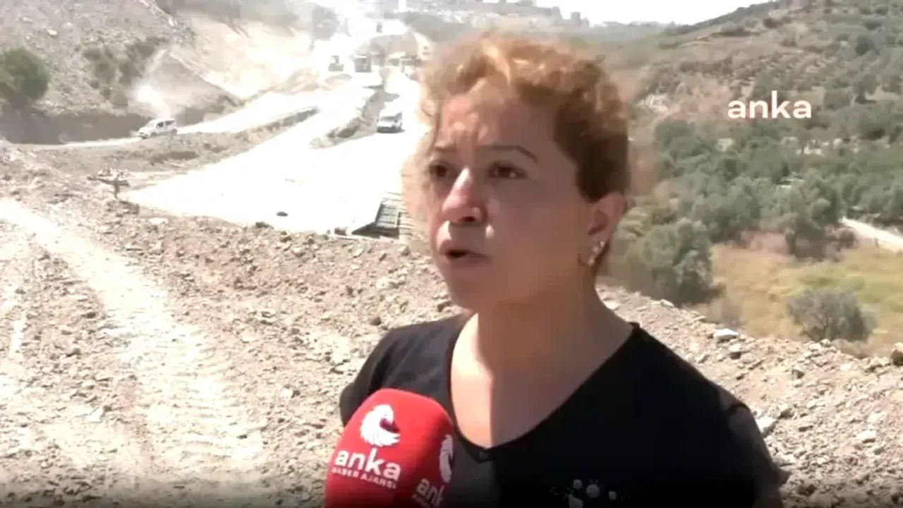 Hatay'da Zeytin Feryadı: Adalet Nerede?