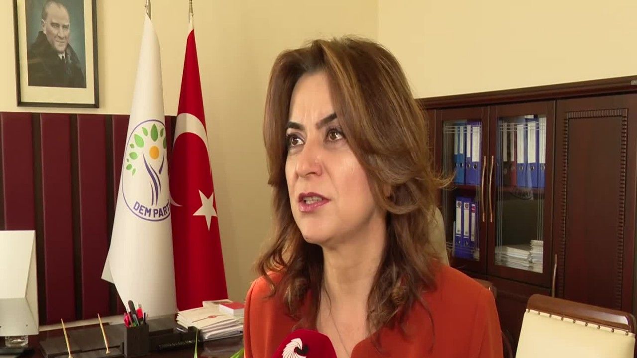 Gülistan Kılıç Koçyiğit: "Elimizde süreç olmasını gerektirecek hiçbir veri yok"