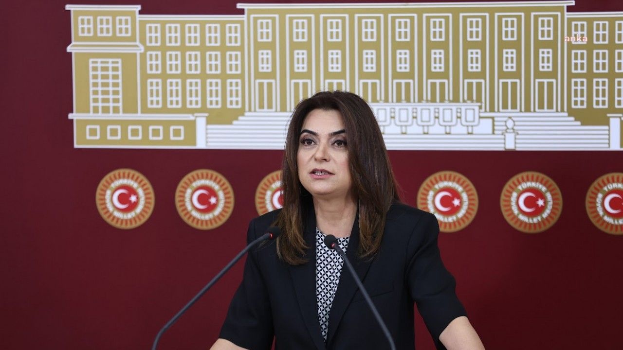 Gülistan Kılıç Koçyiğit: "Rant yerine bilime, ekolojiye ve halkın güvenliğine dayalı kentler inşa edilmeli"