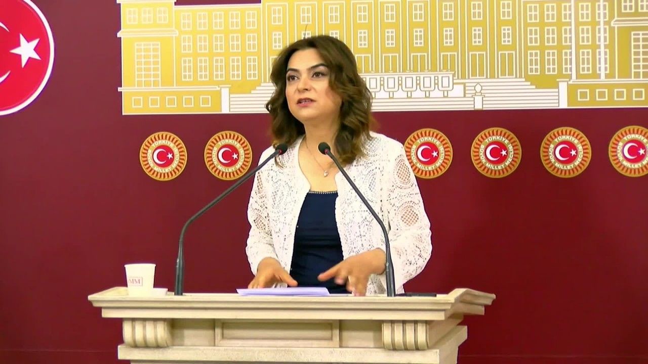 Gülistan Kılıç Koçyiğit: "Ahtapot gibi dört koldan bütün kurumları ele geçiren çete sadece buzdağının görünen kısmı"