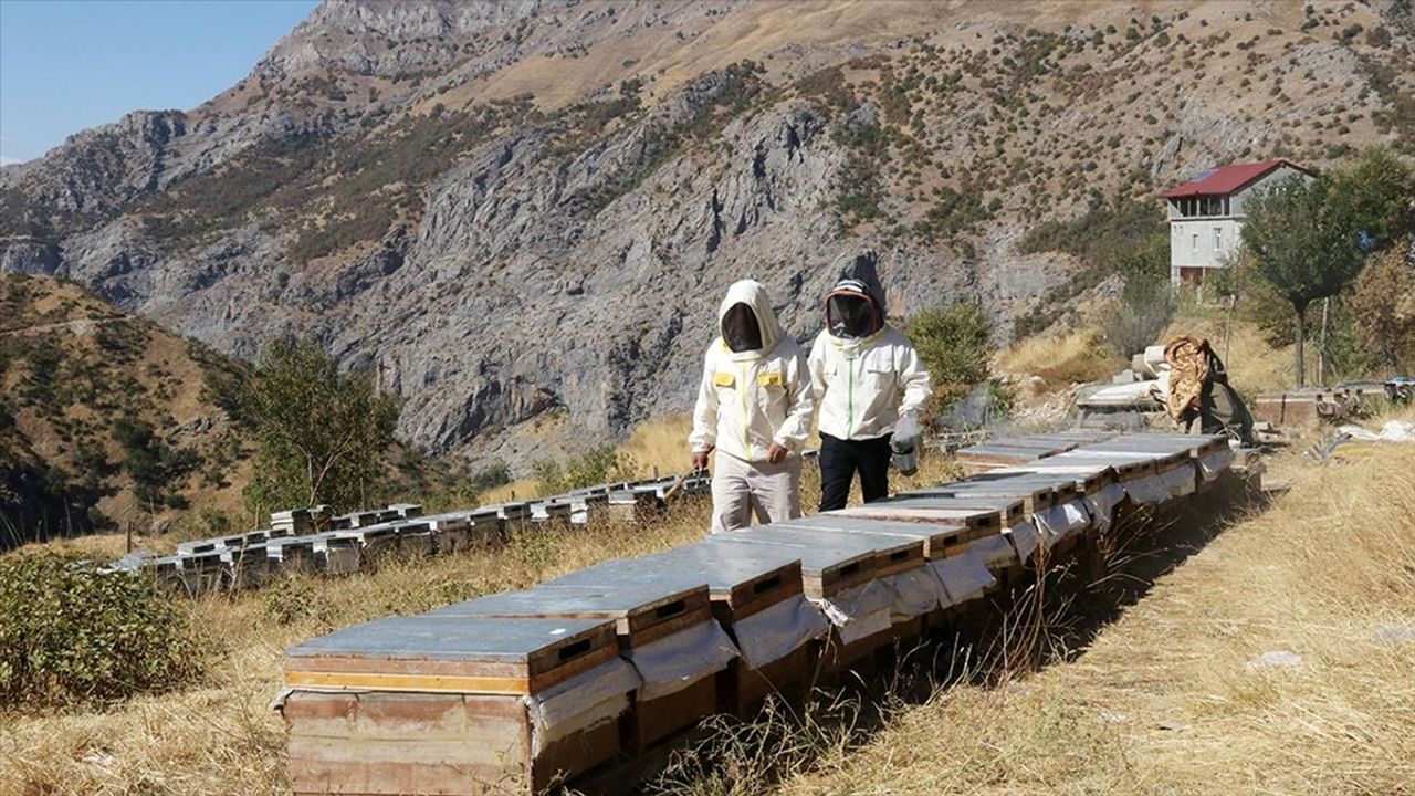 1993’te Boşaltılan Ziyaret Köyü, Arıcılıkla Yeniden Hayat Buldu