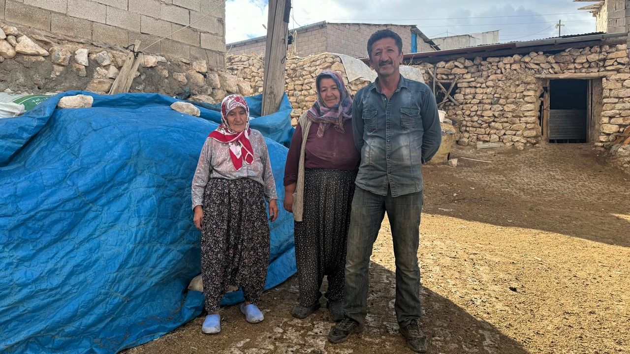 Yem Fiyatları Uçtu, Üretici Zor Durumda