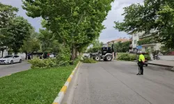 Erzincan'da ağaçların dalları şiddetine dayanamadı