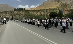 DEM Parti'nin Van'dan başlattığı yürüyüş Hakkari'de sona erdi