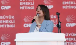 Gamze Taşcıer: "Kadınları birey olarak görmeyen AKP aklımızla alay ediyor" 