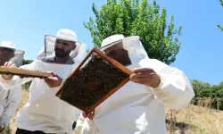 Bornovalı arıcılara yerinde destek