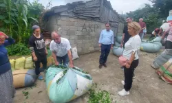 Emek Partisi: "ÇAYKUR, kota uygulamasıyla üreticiyi özele mahkum etti"