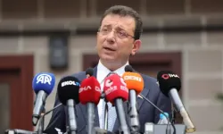 İmamoğlu: 'Kısırlaştır-Aşıla-Yaşat' politikası seferberlikle yönetilmelidir