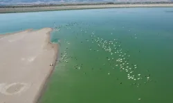 Yedikır Barajı Renklere Büründi! 170 Kuş Türüyle Doğal Bir Şölen