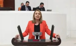 CHP'li Semra Dinçer: AKP, 2024'ün İlk 7 Ayında 618 Milyar TL Faiz Ödedi!