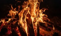Doğada Hayatta Kalmanın İlk Adımı: Kamp Ateşi Yakma Rehberi