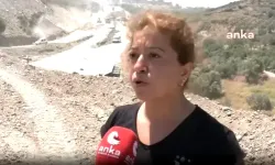 Hatay'da Zeytin Feryadı: Adalet Nerede?