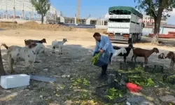 Üretici de tüketici de isyanda! "Biz açız aç! Ayakta durmak yaşamaksa, yaşıyoruz"