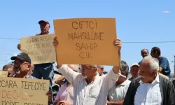 Malatya’da Kayısı Üreticileri Fiyat İstikrarsızlığına Tepkili: TMO Önünde Protesto