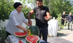 Karpuzda dördüncü hasat başladı