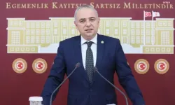 CHP'li Bakırlıoğlu: Bu gidişle zeytinin de sonu domates gibi olacak