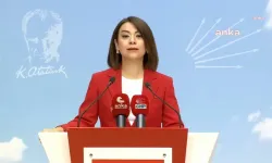 CHP'li Gamze Taşcıer: 'Eczacılar Hedef Gösteriliyor, Cezalar Ahlaki Değil'