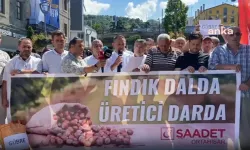 Saadet Partisi'nden Trabzon'da fındık protestosu: “Bugün çuvaldan fındık dökülür, yarın sandıkta siz dökülürsünüz”