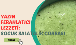 Yazın Ferahlatıcı Lezzeti: Soğuk Salatalık Çorbası