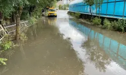 Sağanak Bitlis'i vurdu