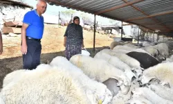 Yangından etkilenen köylerdeki çiftçilere yem desteği