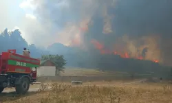 Ankara'nın Kızılcahamam ilçesinde orman yangını