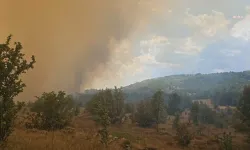 Ankara-Bolu arasındaki yangın sürüyor: Yayla evleri yandı, inekler kaçarak kurtuldu