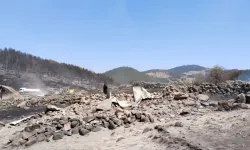 Ankara-Bolu sınırındaki orman yangını... Demirler köyü yakınında 13 yayla evi ve bir cami yandı 