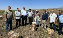 CHP'li Ömer Fethi Gürer uyardı! Patates hasadı başlamadan önlem alın