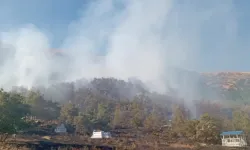 Tunceli'de ormanlık alanda çıkan yangına müdahale ediliyor