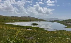 Şırnak'ın Gizli Cennetini Keşfetmeye Ne Dersiniz? Faraşin Yaylası'ndaki Tektonik Göller Çağırıyor!