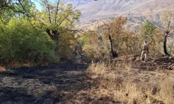 Tunceli'de ormanlık alanlarda çıkan yangınlar söndürüldü