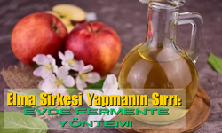 Elma Sirkesi Yapmanın Sırrı: Evde Fermente Yöntemi
