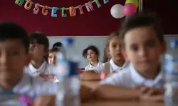 Bitler nasıl temizlenir? Çocuklarda bit tedavisi