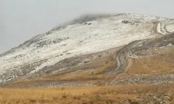 Kış yüzünü Van'da gösterdi: Başkale'ye kar yağdı