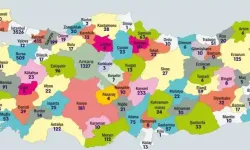 Yabancı Başvurularında Yüzde 25 Artış: Sınai Haklar Haritası Yenilendi!