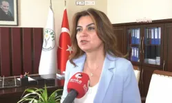 Gülüstan Kılıç Koçyiğit: "Erken seçimin koşullarını yaratmak için toplumu örgütlemeye ihtiyaç var"