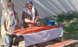 Kışın en ilgi gören tarhana çorbası için hazırlıklar başladı