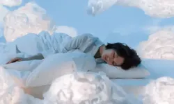 Rüyada Ayçiçeği Görmek ne anlama gelir?