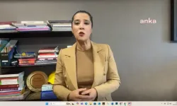 Sevda Karaca: "Gaziantep'te neden bu kadar çok bebek ölüyor?"