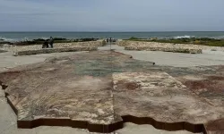 İki okyanusu izleyebileceğiniz nokta: Cape Agulhas Ulusal Parkı