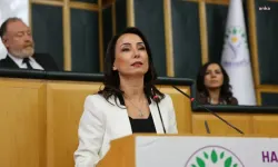 Tülay Hatimoğulları: "Halkın iradesi gasbedilemez, Ahmet Özer serbest bırakılmalıdır"