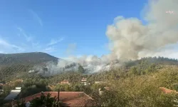 Muğla Menteşe’de orman yangını