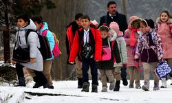 Kars, Ağrı ile Ardahan'da kar ve sis yaşamı olumsuz etkiliyor