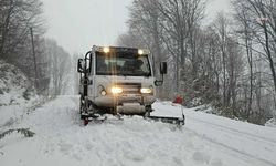 Osmangazi'de kar mesaisi başladı