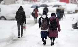 Erzurum ve Tunceli'de kar nedeniyle eğitime yarın ara verildi