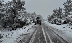 Bornova'da mevsimin ilk karı yağdı