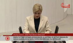 DEM Partili Koca'dan iktidara: "Enerji şirketleri, maden şirketleri, fosil yakıt şirketleri sizi parmağında oynatıyor"